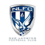 team-logo