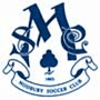 team-logo