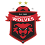 team-logo