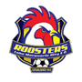 team-logo