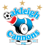 team-logo