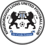 team-logo