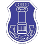 team-logo