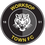 team-logo