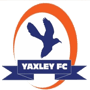 team-logo