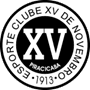team-logo