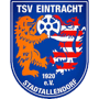 team-logo
