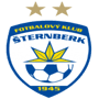 team-logo