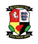 team-logo