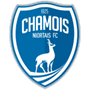 team-logo