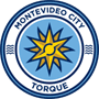 team-logo