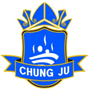 team-logo