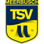 team-logo