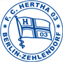 team-logo