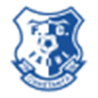 team-logo