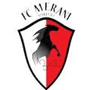 team-logo