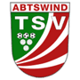 team-logo