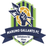 team-logo