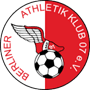 team-logo