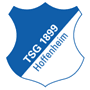 team-logo