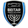 team-logo