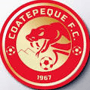 team-logo