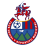 team-logo