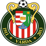 team-logo