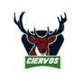 team-logo