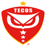 team-logo