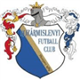 team-logo