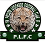 team-logo