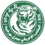 team-logo