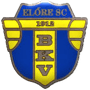 team-logo