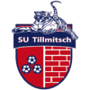 team-logo