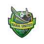 team-logo
