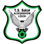 team-logo