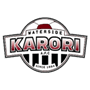 team-logo