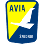 team-logo