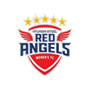 team-logo