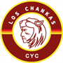 team-logo