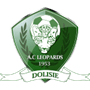 team-logo