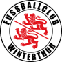 team-logo