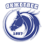 team-logo