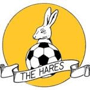 team-logo