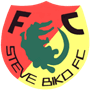 team-logo