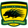 team-logo