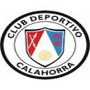 team-logo