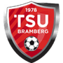 team-logo