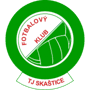 team-logo